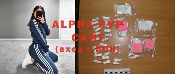 дживик Няндома
