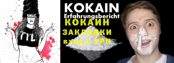 дживик Няндома
