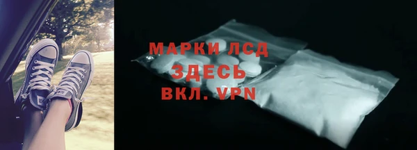 дживик Няндома