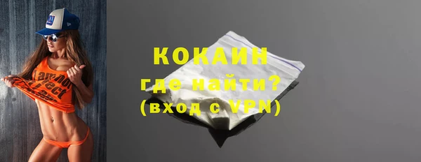 молекула духа Осташков