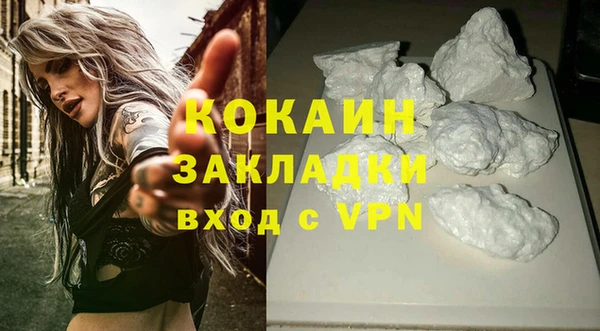 дживик Няндома