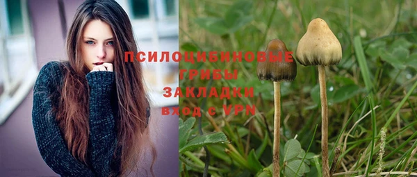 соль ск Нягань