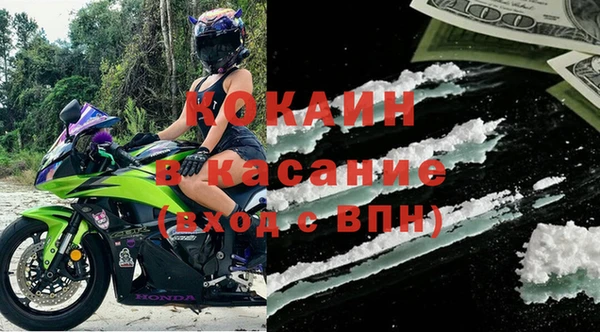 дживик Няндома