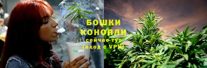 Каннабис Ganja  Бодайбо 